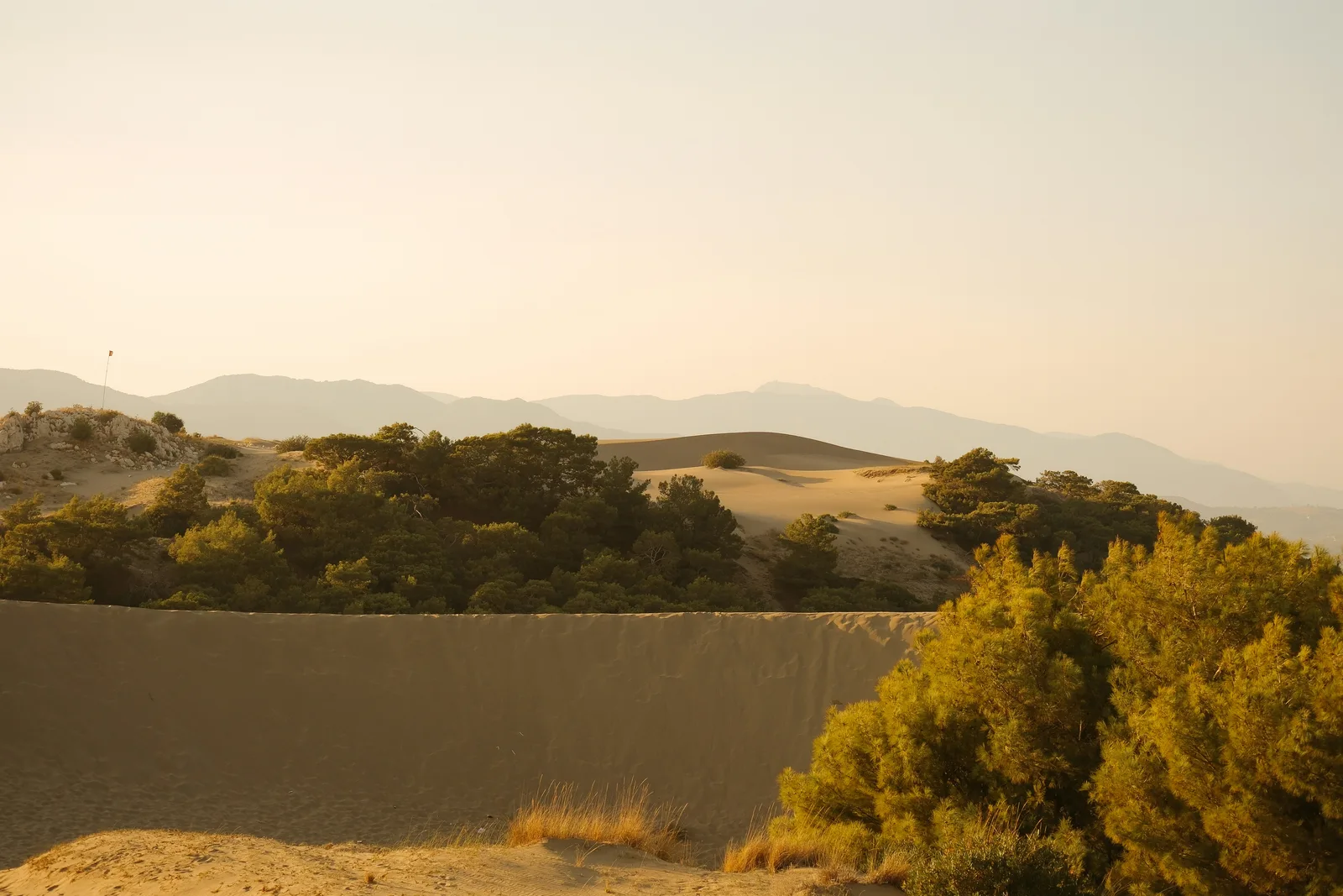 A solid wood fence line against open high-desert scrubland under a wide sky