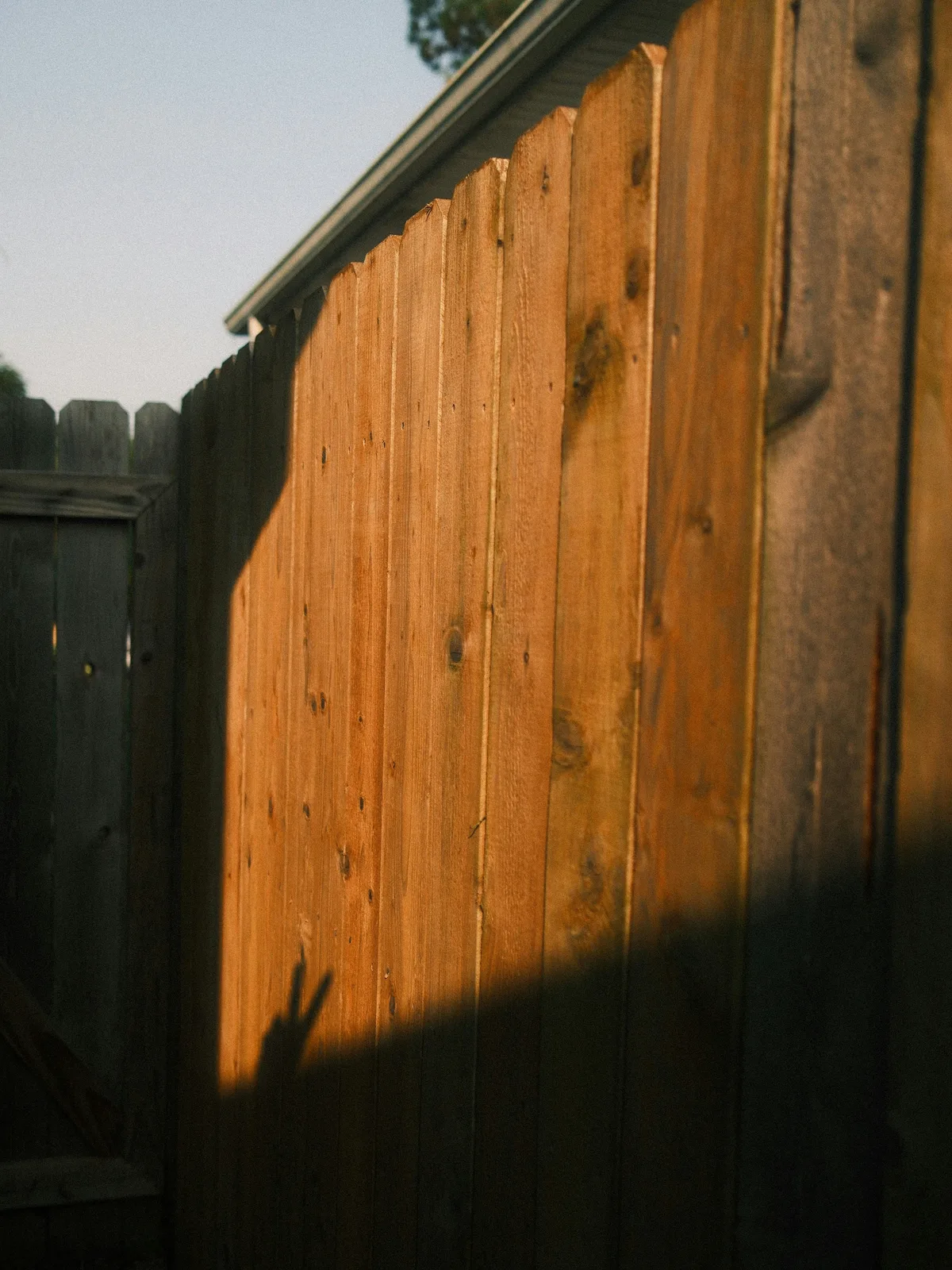 A tall solid wood board-on-board privacy fence enclosing a backyard